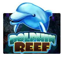 Dolphin Reef